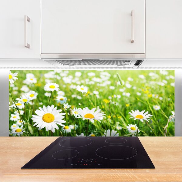 Panou sticla bucatarie Daisy Floral Alb Galben Verde