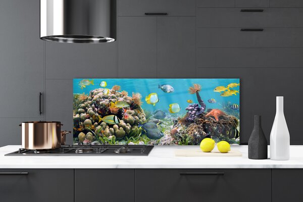 Panou sticla bucatarie Coral Reef Natura Multi