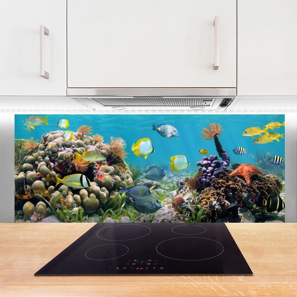 Panou sticla bucatarie Coral Reef Natura Multi