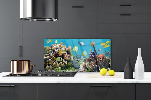 Panou sticla bucatarie Coral Reef Natura Multi
