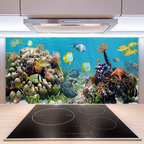 Panou sticla bucatarie Coral Reef Natura Multi