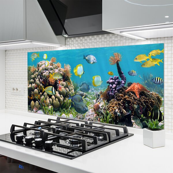 Panou sticla bucatarie Coral Reef Natura Multi