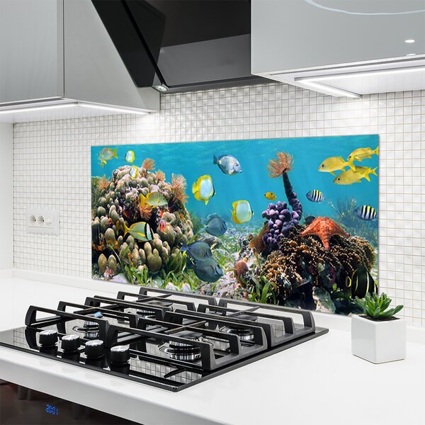 Panou sticla bucatarie Coral Reef Natura Multi