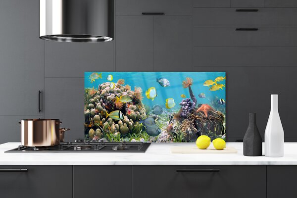 Panou sticla bucatarie Coral Reef Natura Multi