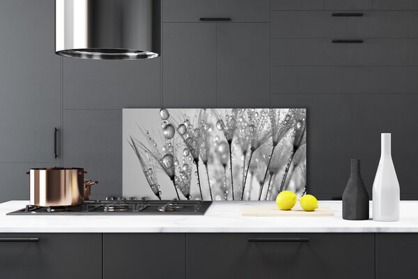 Panou sticla bucatarie Păpădie Floral Gray