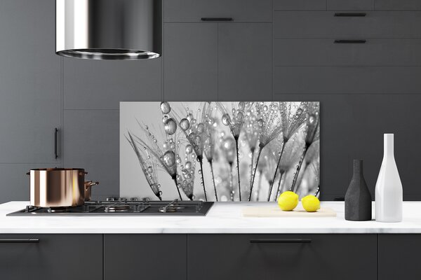Panou sticla bucatarie Păpădie Floral Gray