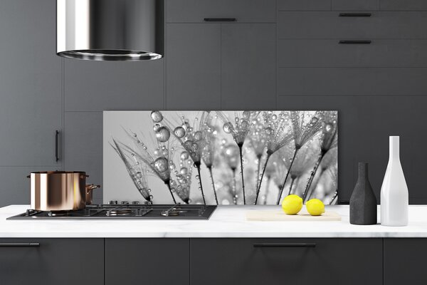 Panou sticla bucatarie Păpădie Floral Gray
