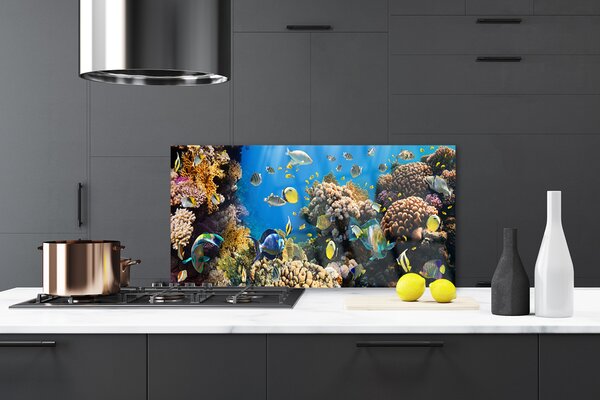 Panou sticla bucatarie Coral Reef Natura Multi
