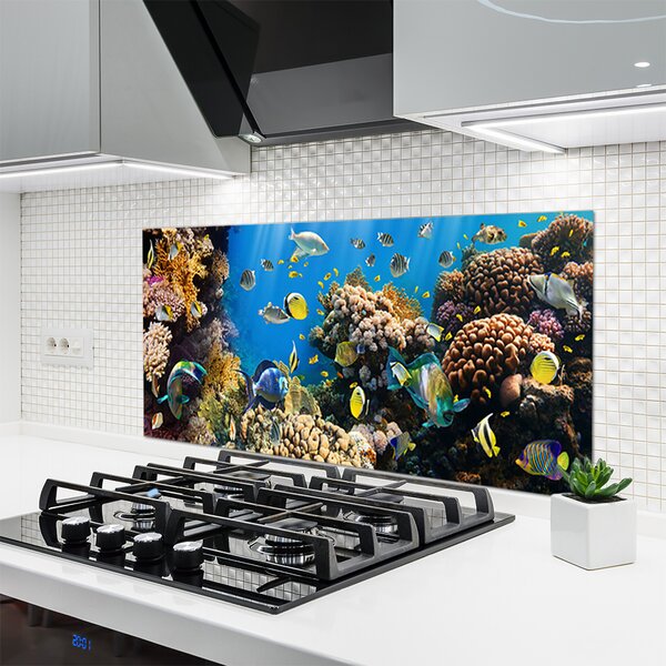 Panou sticla bucatarie Coral Reef Natura Multi