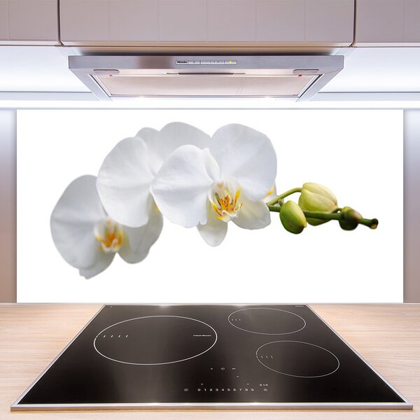 Panou sticla bucatarie Flori Floral alb