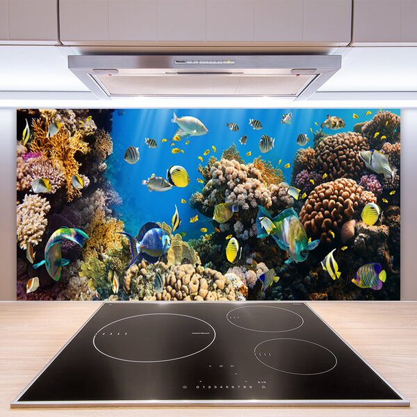 Panou sticla bucatarie Coral Reef Natura Multi