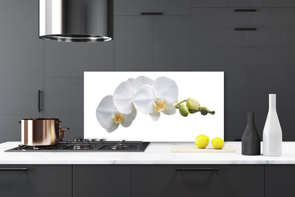 Panou sticla bucatarie Flori Floral alb