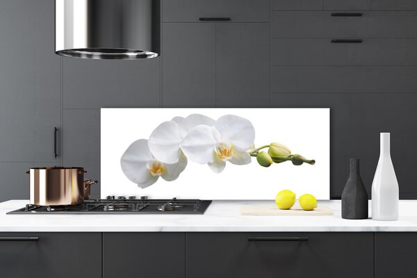 Panou sticla bucatarie Flori Floral alb