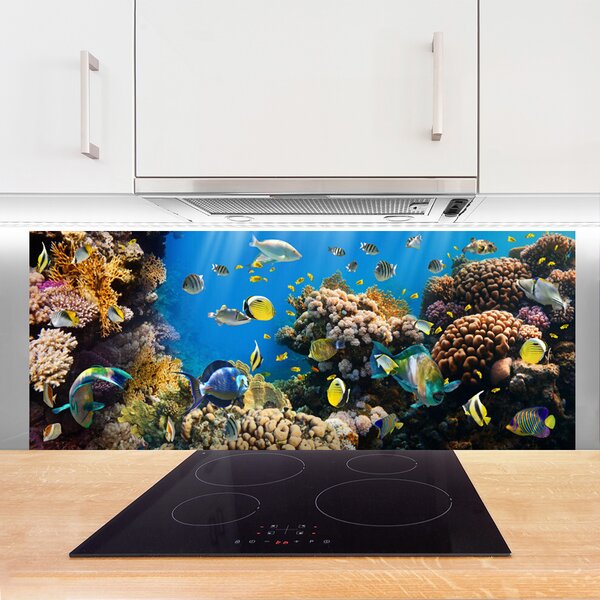 Panou sticla bucatarie Coral Reef Natura Multi
