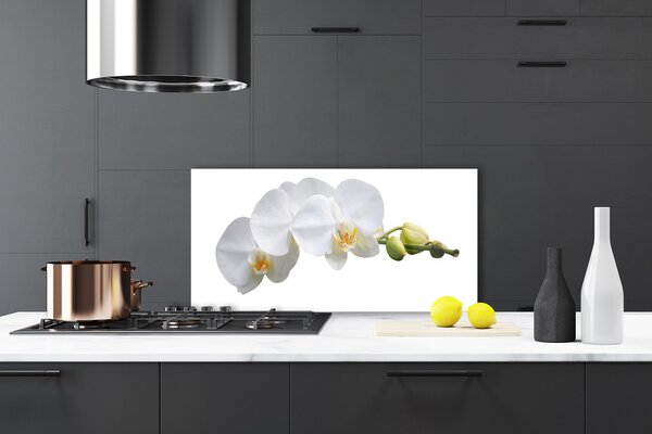 Panou sticla bucatarie Flori Floral alb
