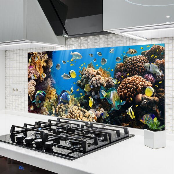 Panou sticla bucatarie Coral Reef Natura Multi