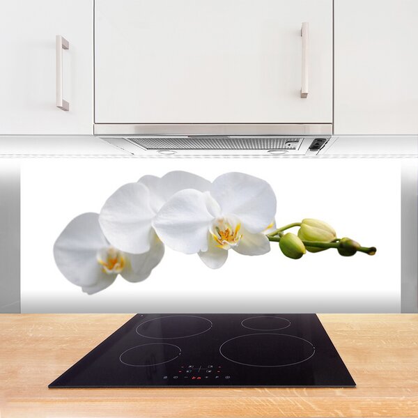 Panou sticla bucatarie Flori Floral alb