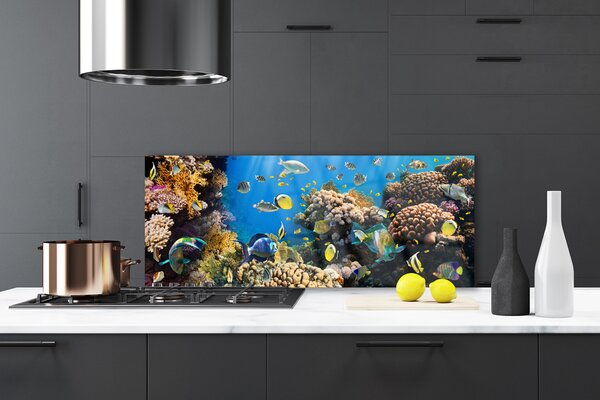 Panou sticla bucatarie Coral Reef Natura Multi