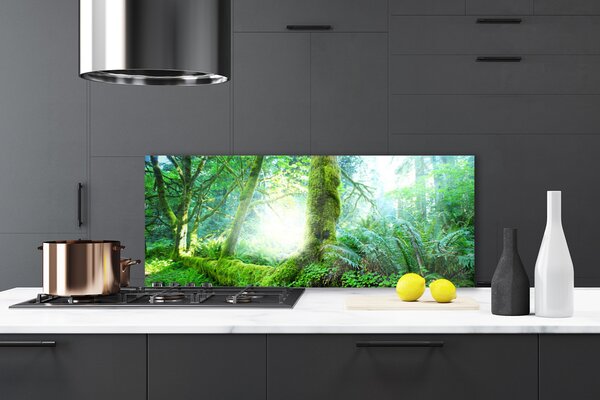 Panou sticla bucatarie Pădurea Verde Natura
