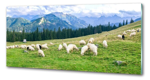 Sticlă pentru bucătărie Oi în munții Tatra