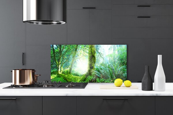 Panou sticla bucatarie Pădurea Verde Natura