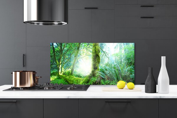 Panou sticla bucatarie Pădurea Verde Natura