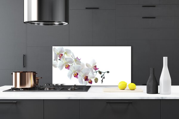 Panou sticla bucatarie Flori Floral alb