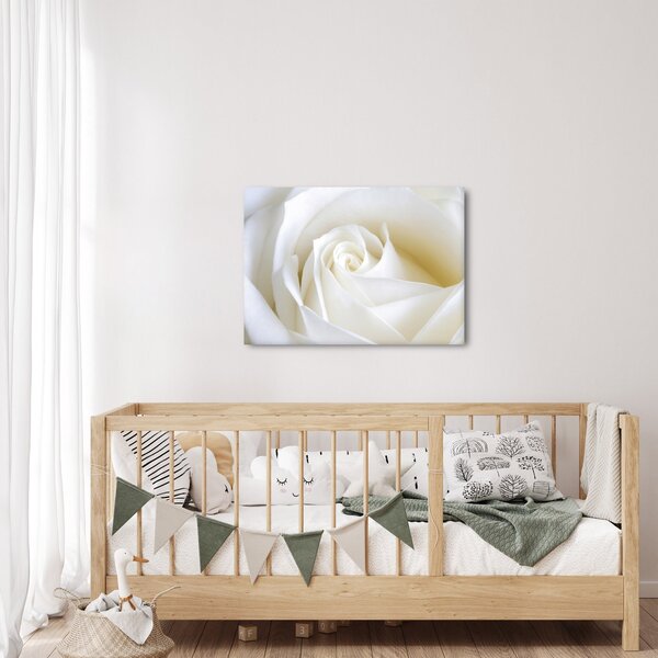 Tablou cu tandafir alb (70x50 cm)
