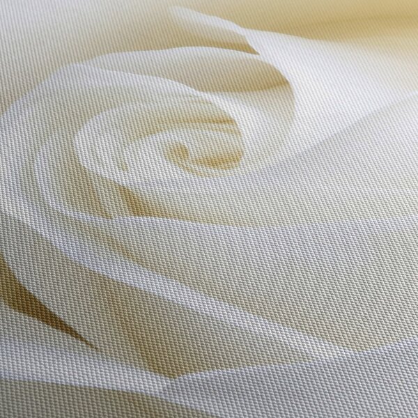 Tablou cu tandafir alb (120x50 cm)