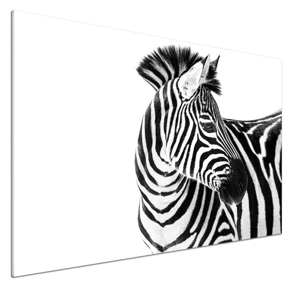 Panou sticla securizata bucatarie Zebra în zăpadă
