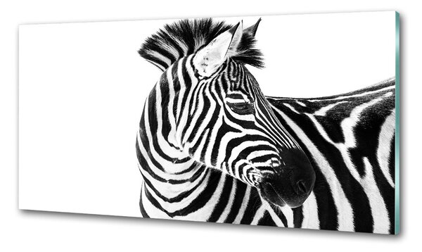 Panou sticla securizata bucatarie Zebra în zăpadă