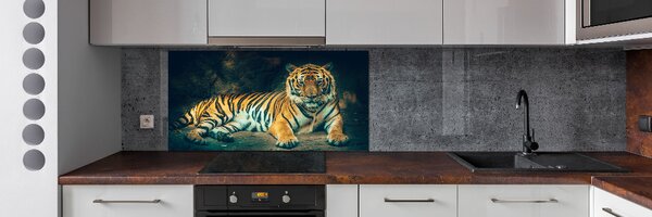 Sticlă bucătărie Tiger Cave