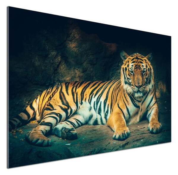 Sticlă bucătărie Tiger Cave