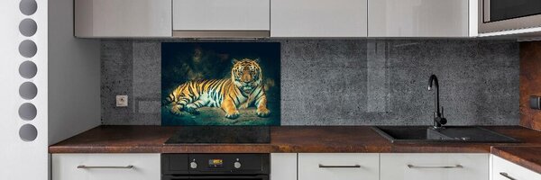Sticlă bucătărie Tiger Cave
