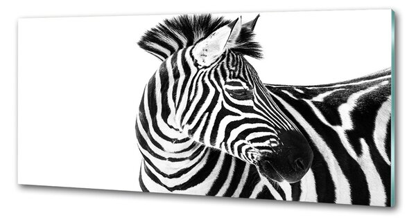 Panou sticla securizata bucatarie Zebra în zăpadă