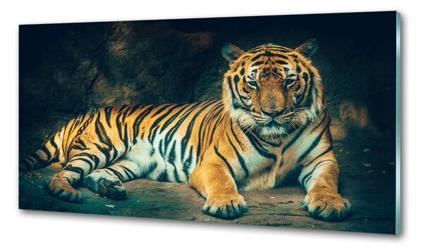 Sticlă bucătărie Tiger Cave
