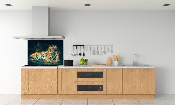 Sticlă bucătărie Tiger Cave