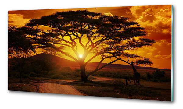 Panou perete bucătărie Africa de Vest