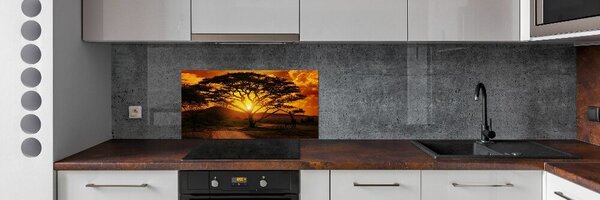 Panou perete bucătărie Africa de Vest
