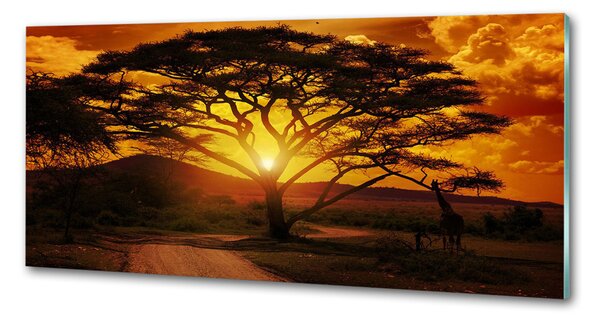 Panou perete bucătărie Africa de Vest