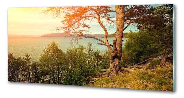 Panou sticla securizata bucatarie lac Scandinavia