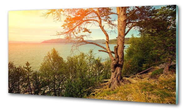Panou sticla securizata bucatarie lac Scandinavia
