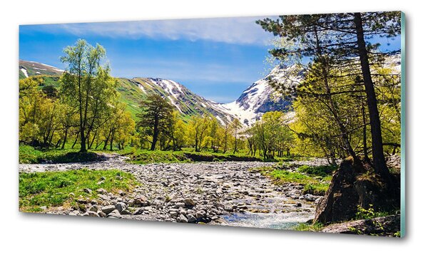Sticlă pentru bucătărie River în munți