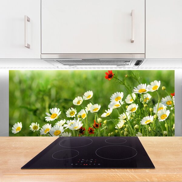 Panou sticla bucatarie Daisy Natura Galben Alb