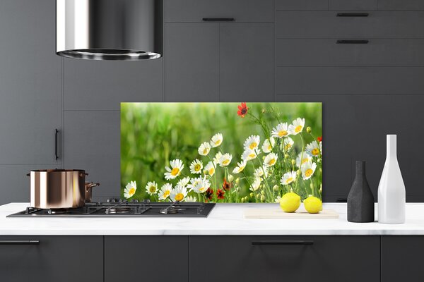 Panou sticla bucatarie Daisy Natura Galben Alb