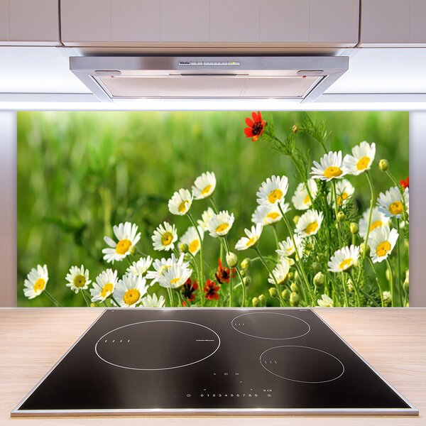 Panou sticla bucatarie Daisy Natura Galben Alb
