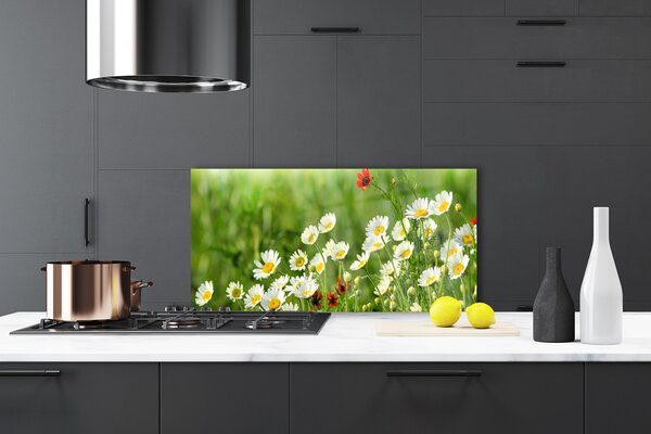 Panou sticla bucatarie Daisy Natura Galben Alb