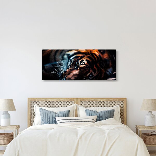 Tablou cu tigrul dormind (120x50 cm)