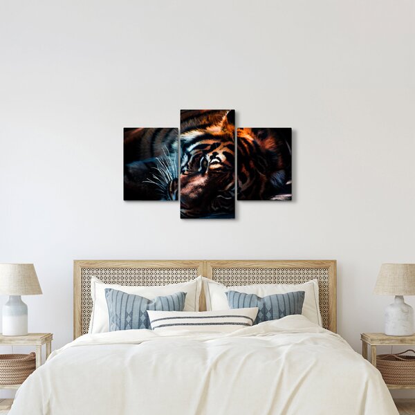 Tablou cu tigrul dormind (90x60 cm)