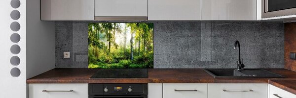 Sticlă pentru bucătărie Pădurea de dimineață la soare
